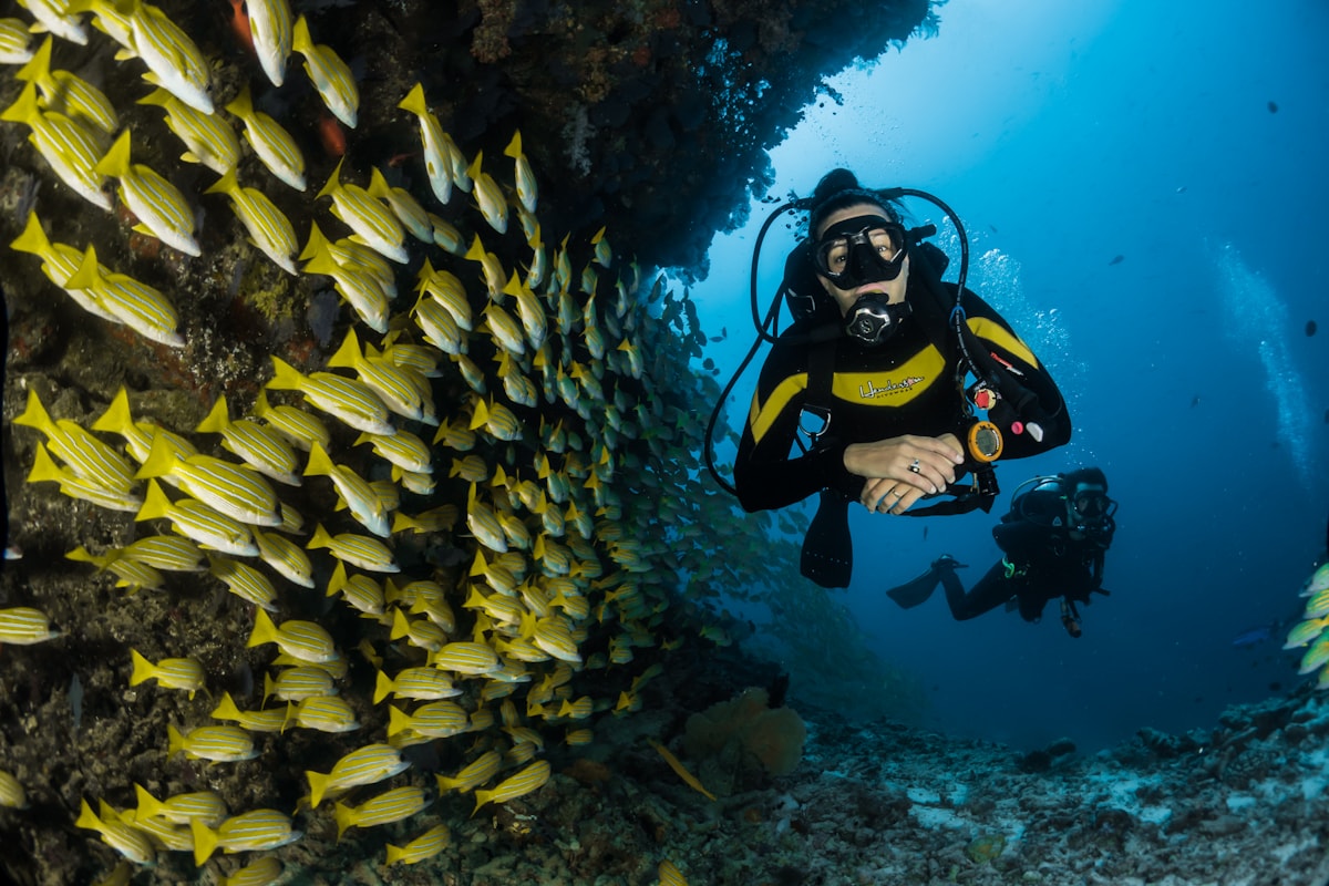 Two scuba divers underwater in clear blue water.